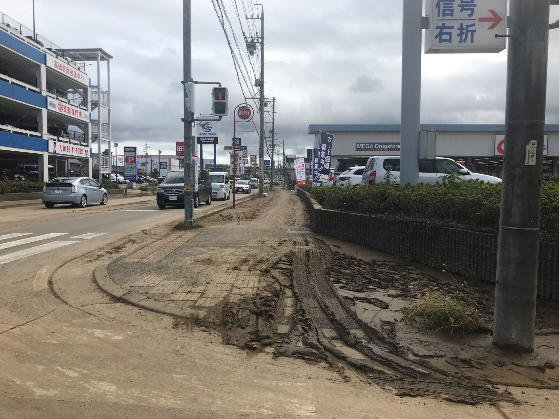 「検証不要」から一転「問題あった」　静岡市長の台風15号対応で最終報告