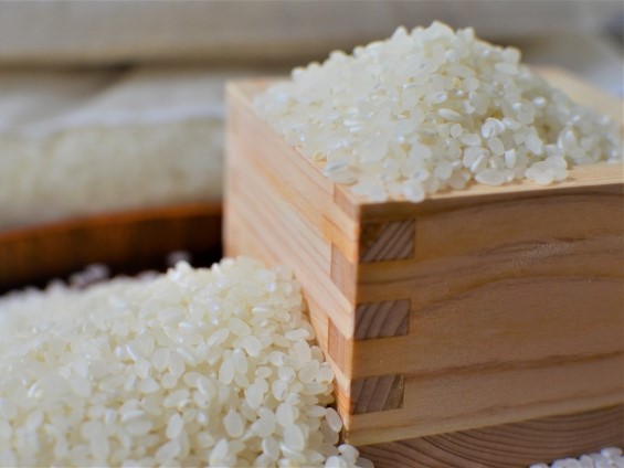 静岡県が県内85カ所で米の無料配布開始　物価高騰で負担増す子育て世帯を支援