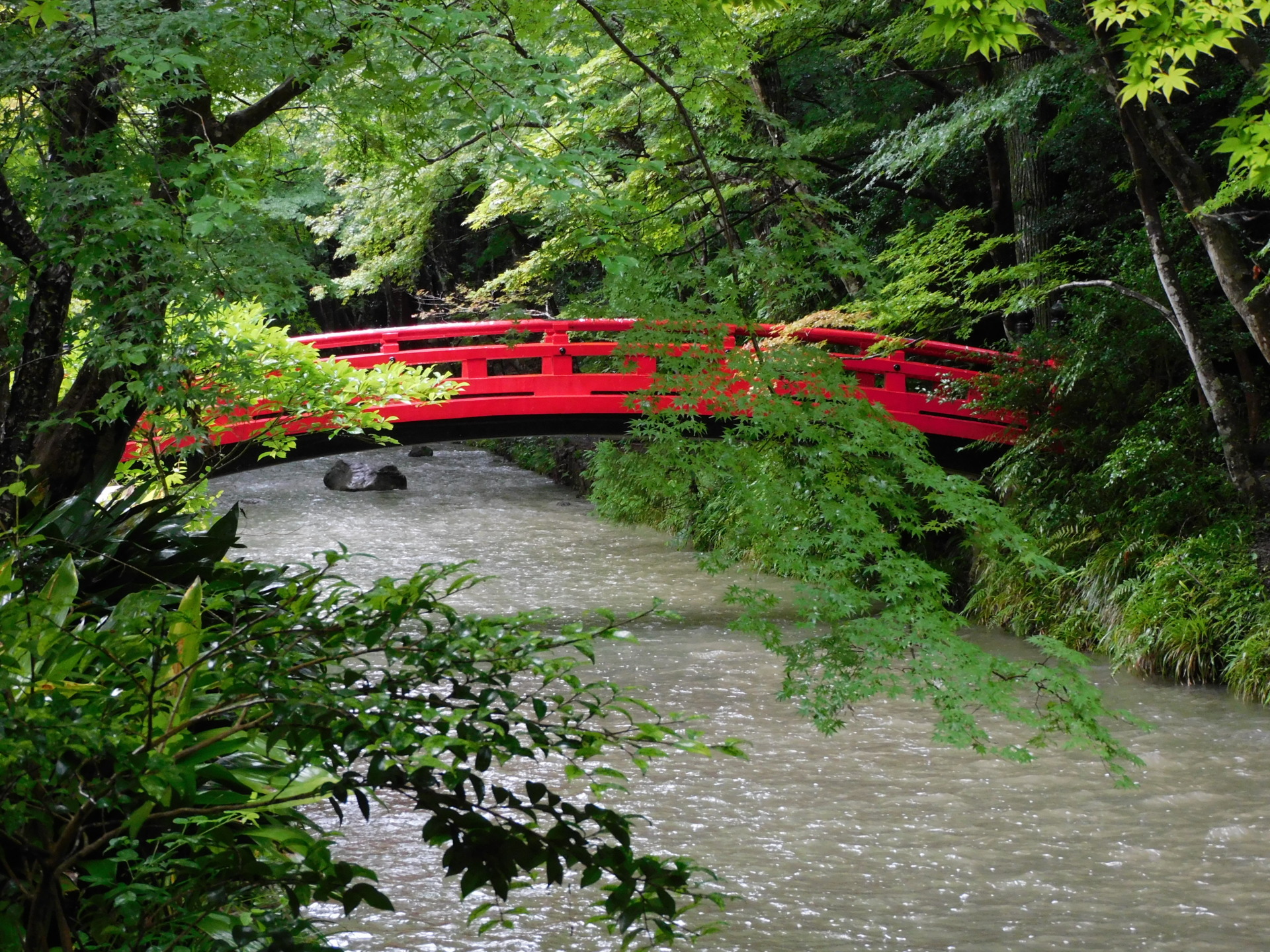 ランク外から急上昇　住み続けたい街トップ　静岡の“小京都”はどんなところ？