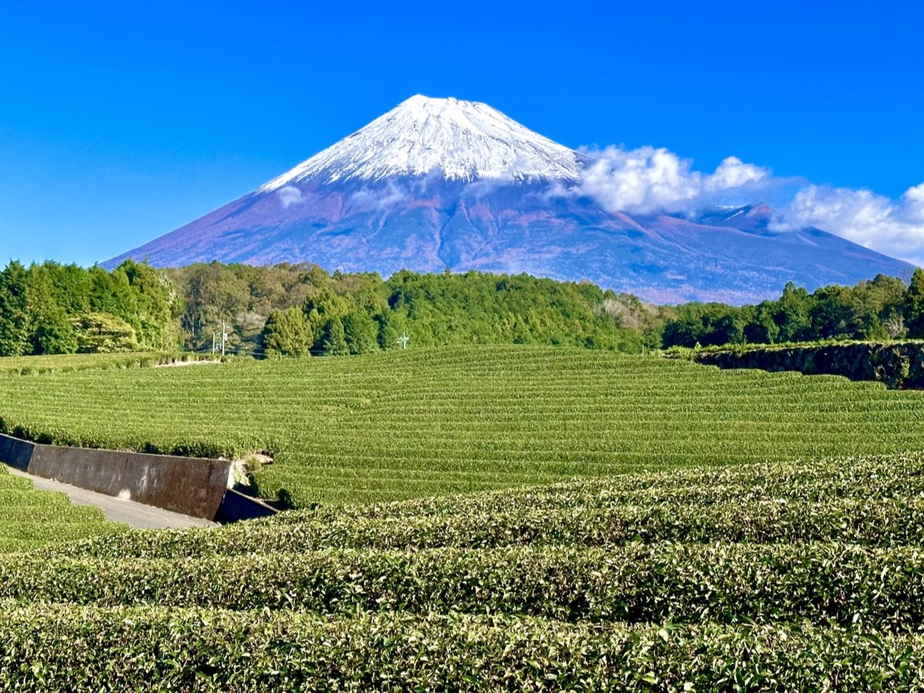 移住希望地で静岡県3連覇　全ての世代で全国トップ　コロナ禍の地方人気続く