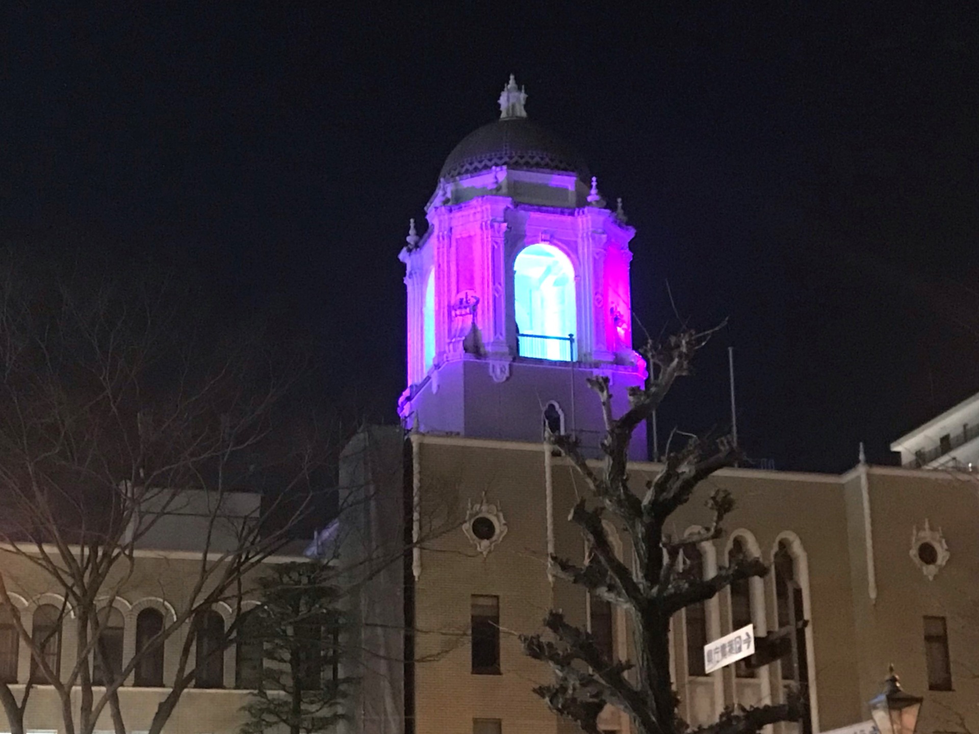 なぜ静岡市役所が紫色にライトアップ？　100人に1人かかる病気に理解を