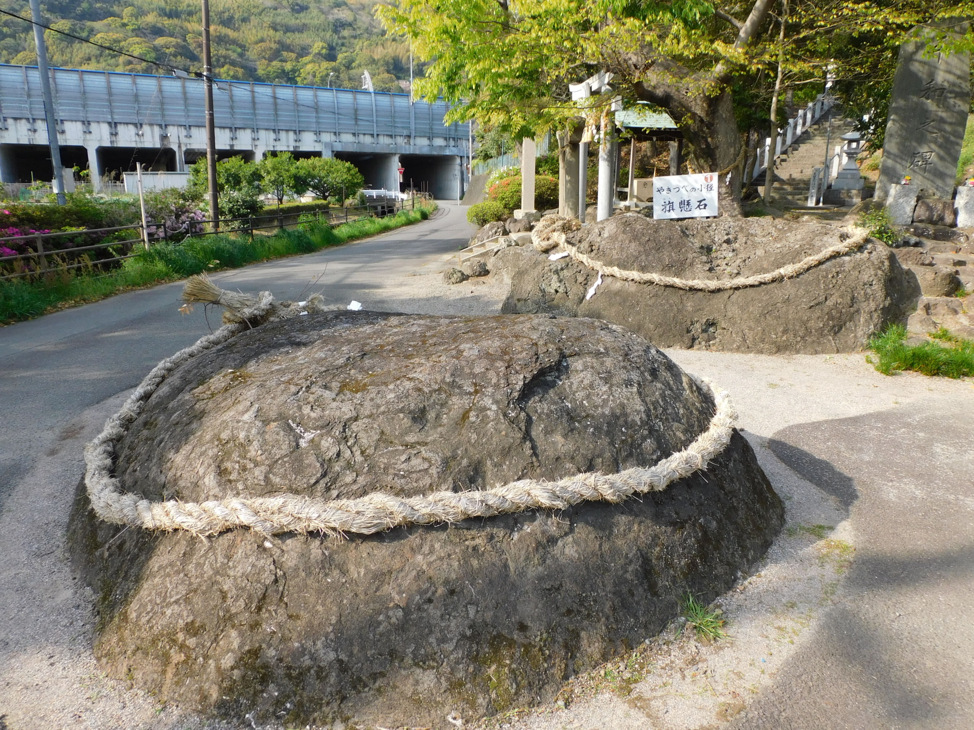 どうする家康で熱い静岡県　静岡市と浜松市だけじゃない　日本一の港町にもゆかりの地