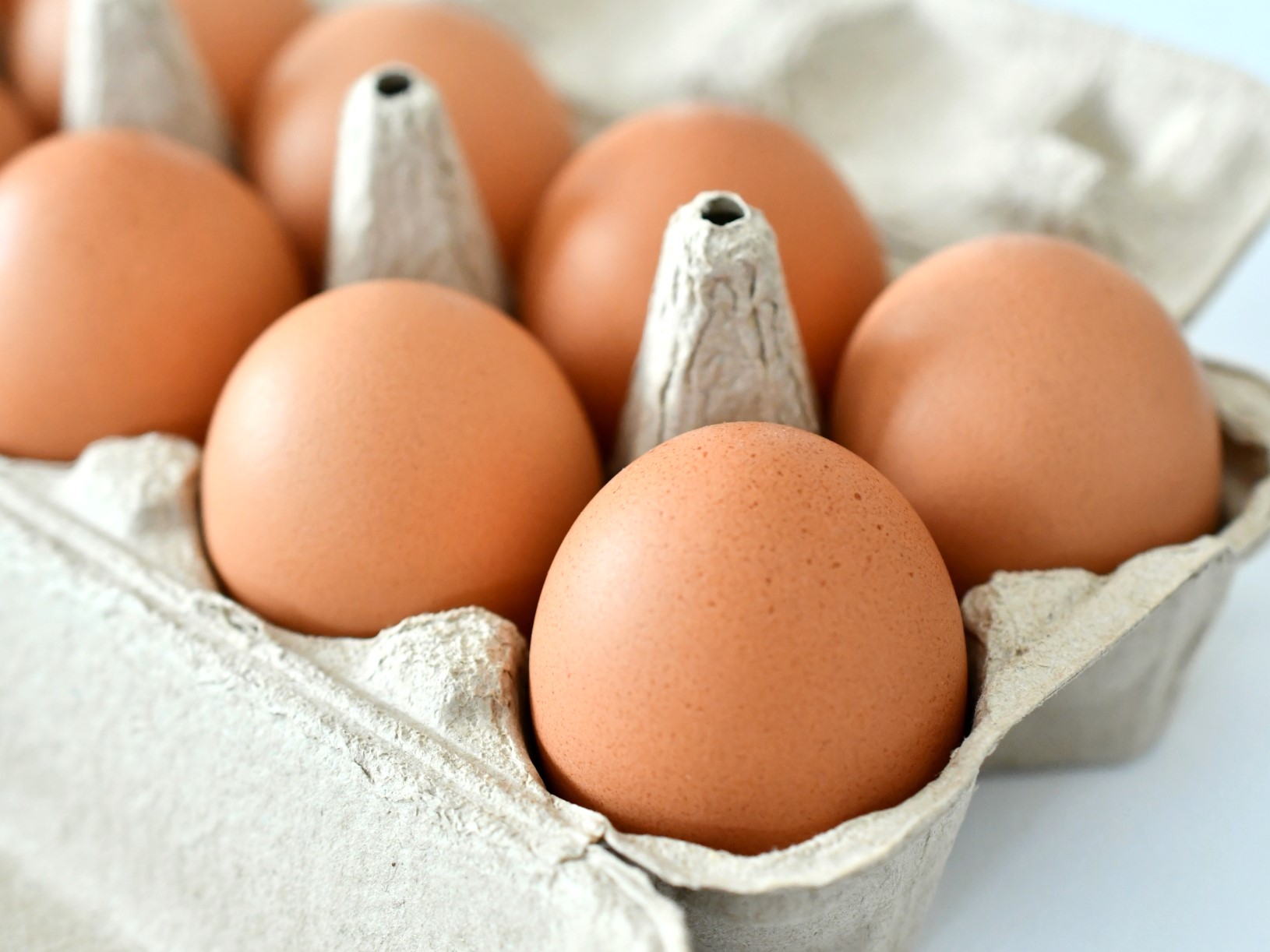 卵メニュー休止　外食大手3割まで拡大　人気オムライスも…　ゆで卵はポテサラに