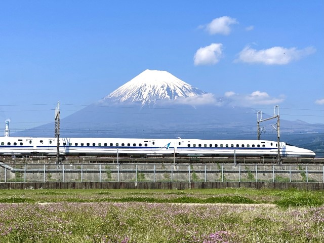 魅力度ランキング静岡県の順位は？　隣県の山梨・愛知が大幅アップ　トップ5は不動