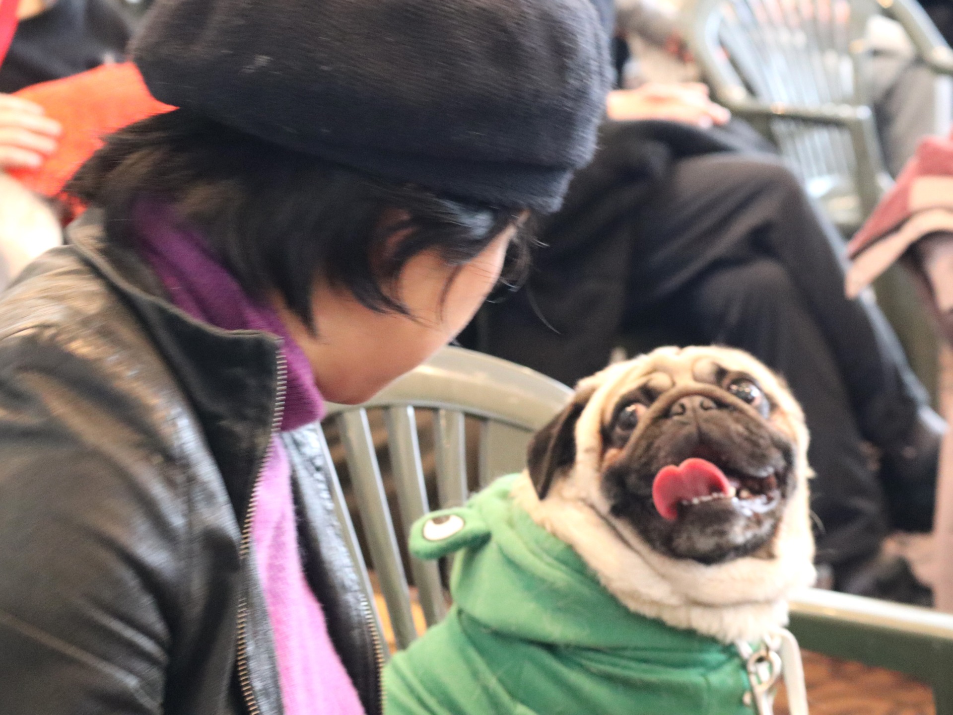 日本一ペットに優しいまちへ　犬が不得意な人とも共存目指す「イヌ高原」の挑戦