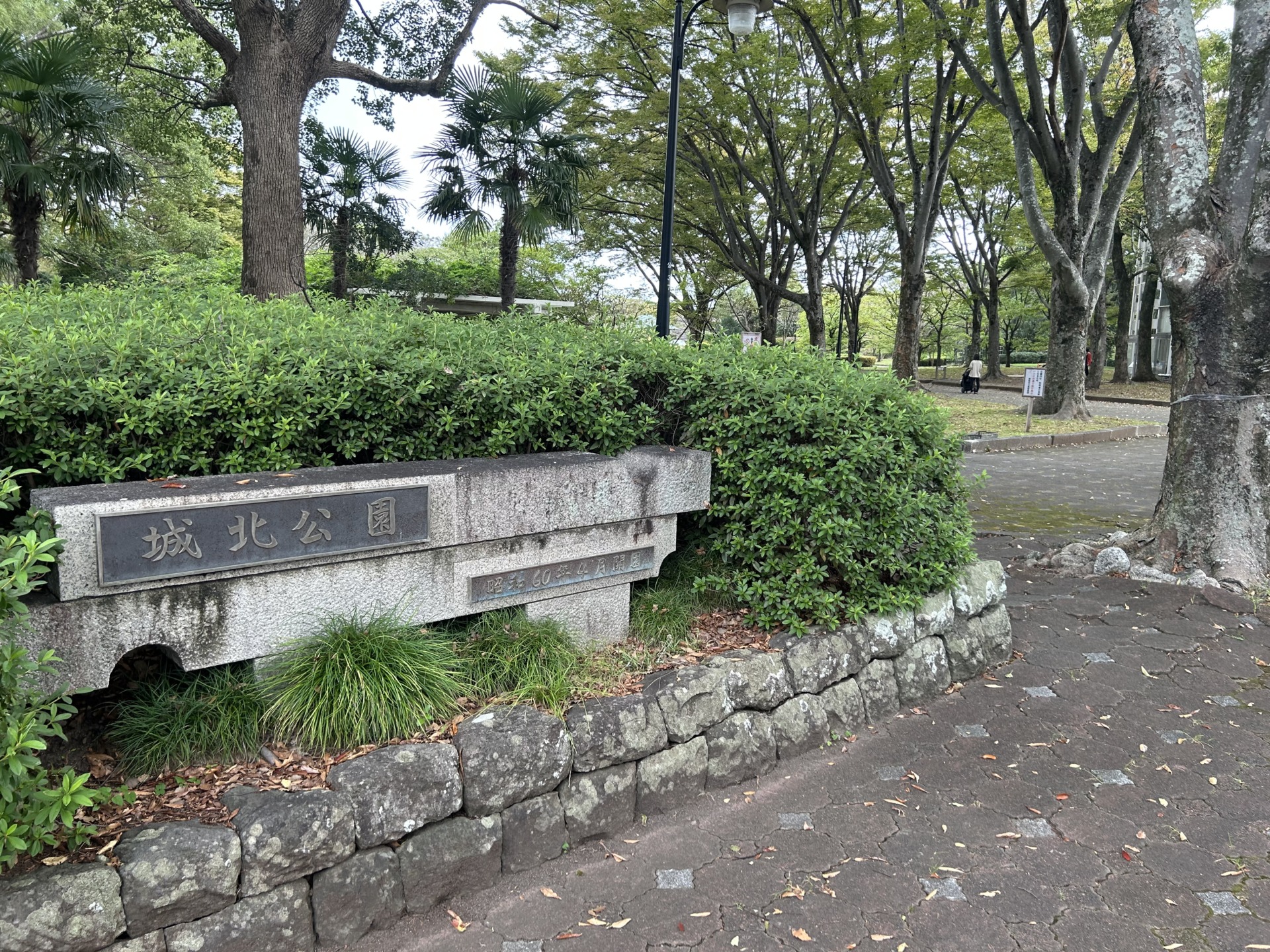 一部市民の反対で計画ストップ　過去にスタバが出店辞退　静岡市が公園再整備でアンケート