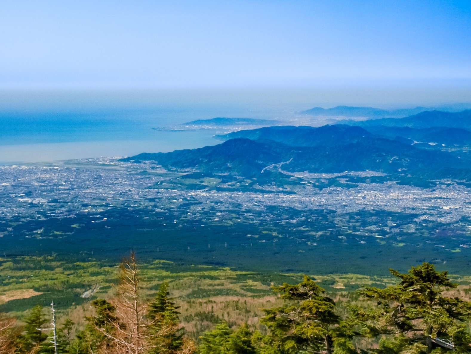 この冬に行きたい静岡県ドライブスポット10選　1位は別格の景色　2位に2倍の得票差