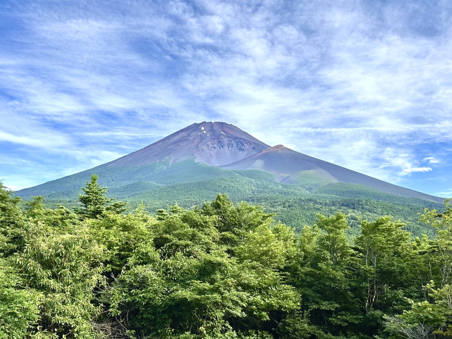 お盆は最大9連休　“王道”は東京、“穴場” は静岡が1位　今夏の人気旅行先TOP10