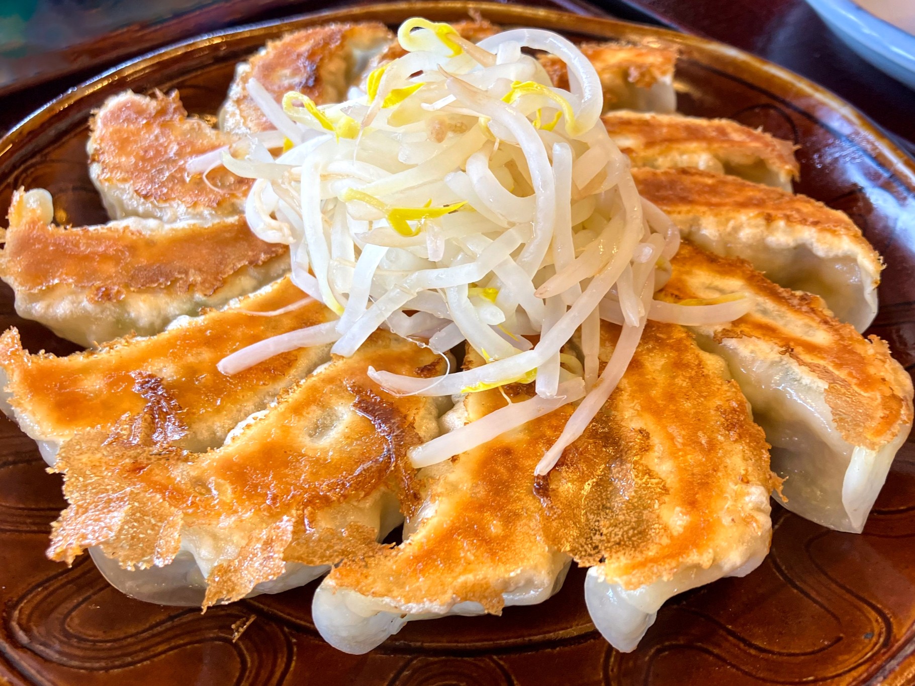 浜松餃子の名店5選　老舗から人気チェーンまで　旅行サイト厳選　あなたの好みは？