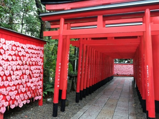 金運、縁結び、健康　2026年の運気アップへ　東海の開運スポット14選　愛知から最多6カ所