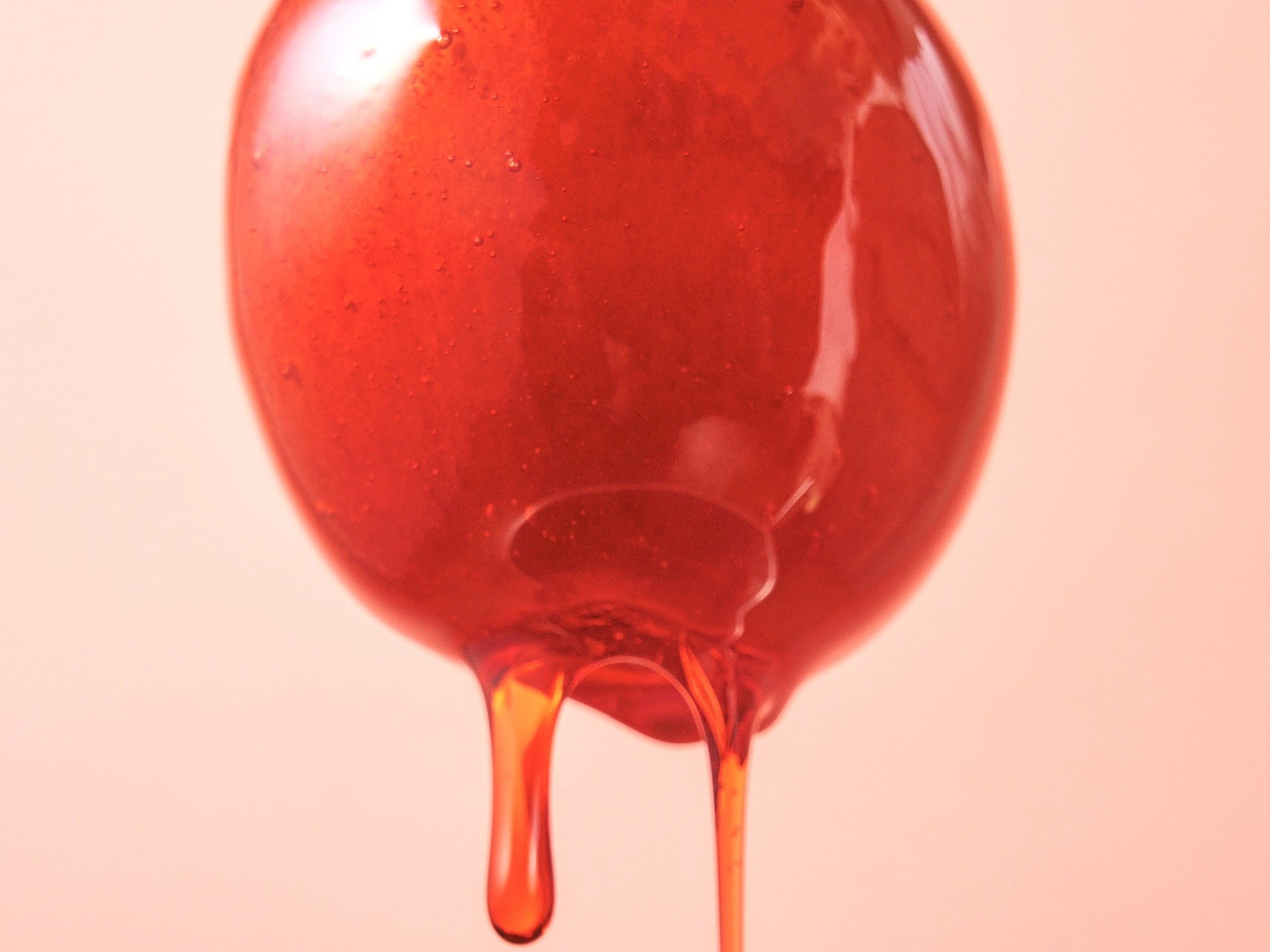 静岡県民の熱望で実現 都内で行列のりんご飴専門店 1月25日で営業終了へ