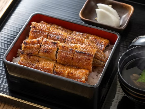 うなぎ一筋30年以上 高知の職人が初の県外進出 静岡市の中心地に店舗オープン